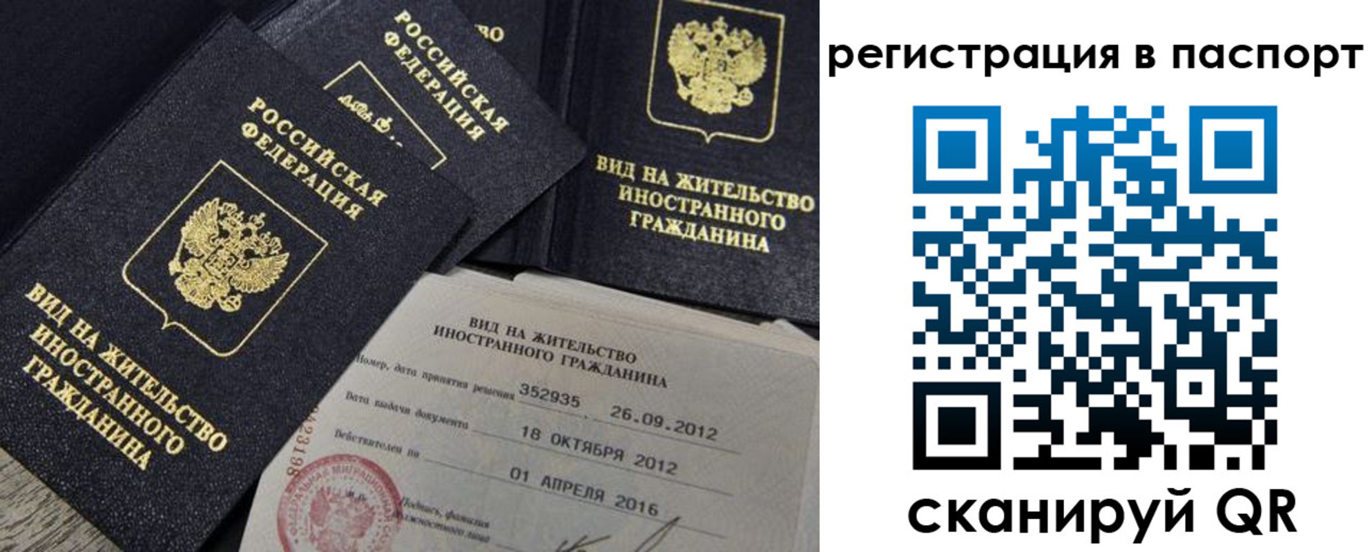 прописка 2025 в Сельцо